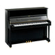 Polished Ebony Polished Ebony