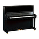 Polished Ebony Polished Ebony
