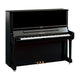 Polished Ebony Polished Ebony