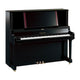 Polished Ebony Polished Ebony