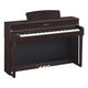 Dark Rosewood Dark Rosewood