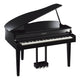 Polised Ebony Polised Ebony