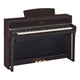 Dark Rosewood Dark Rosewood