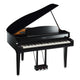 Polised Ebony Polised Ebony