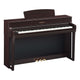 Dark Rosewood Dark Rosewood