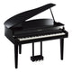 Polised Ebony Polised Ebony