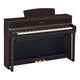 Dark Rosewood Dark Rosewood