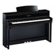 Polised Ebony Polised Ebony