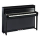 Polised Ebony Polised Ebony