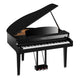 Polised Ebony Polised Ebony