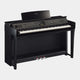 Polished Ebony Polished Ebony