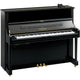 Polished Ebony Polished Ebony