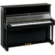 Polished Ebony Polished Ebony