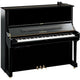 Polished Ebony Polished Ebony