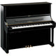 Polished Ebony Polished Ebony