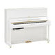 Polished White Polished White
