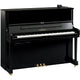Polished Ebony Polished Ebony