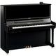 Polished Ebony Polished Ebony