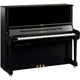 Polished Ebony Polished Ebony