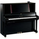 Polished Ebony Polished Ebony