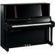 Polished Ebony Polished Ebony