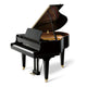 Polished Ebony Polished Ebony