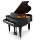 Satin Ebony Satin Ebony