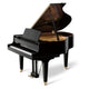 Polished Ebony Polished Ebony