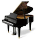 Polished Ebony Polished Ebony