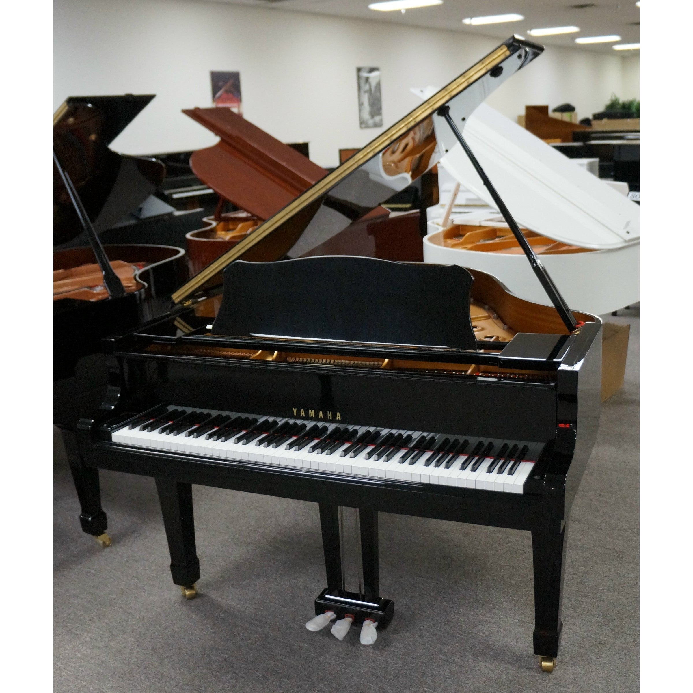 Grand Piano Yamaha C1 PE - C Series