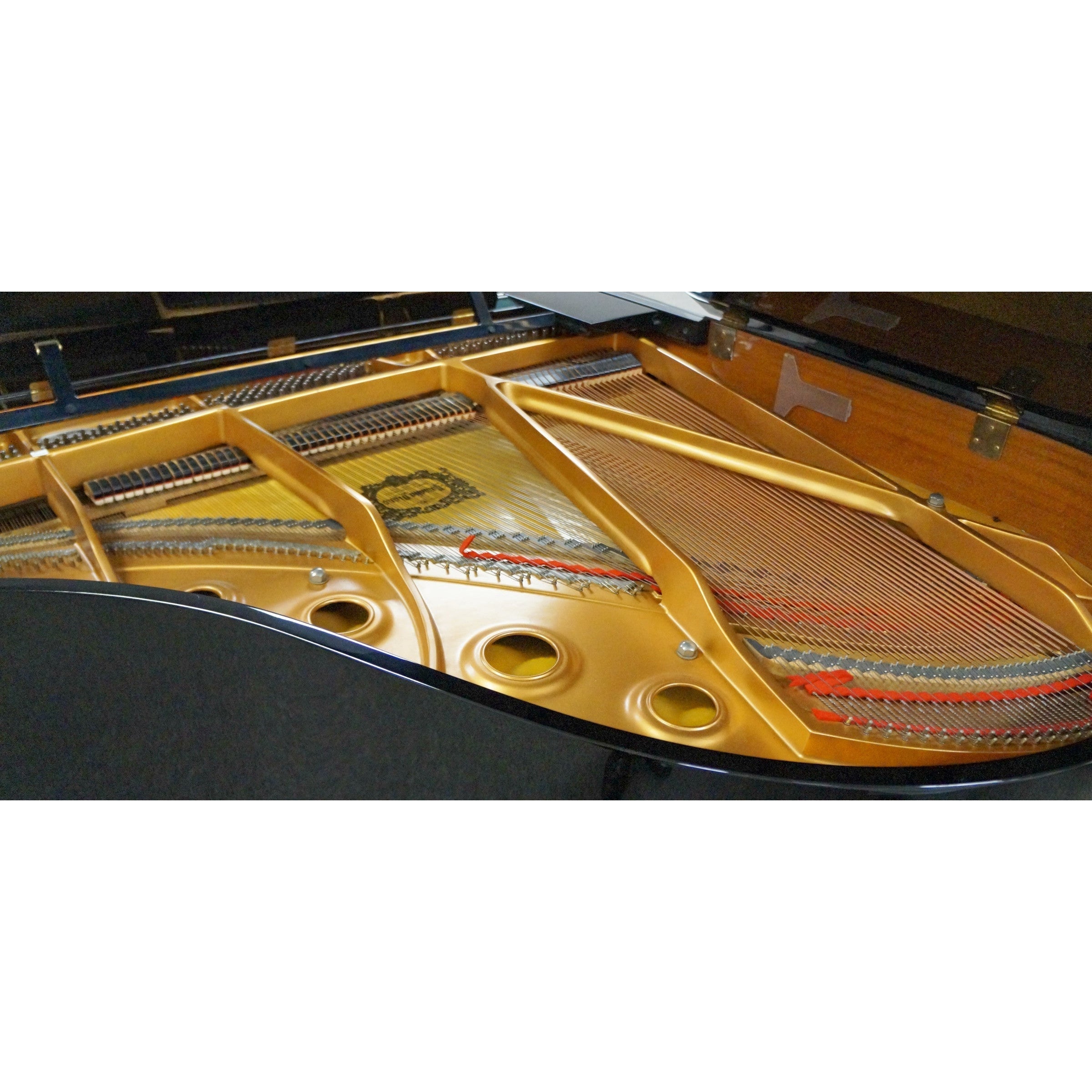 Grand Piano Yamaha C1 PE - C Series